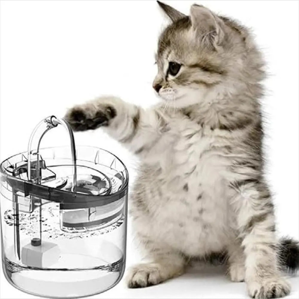Fuente Para Mascotas.