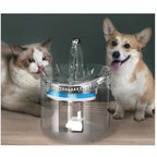 Fuente Para Mascotas.
