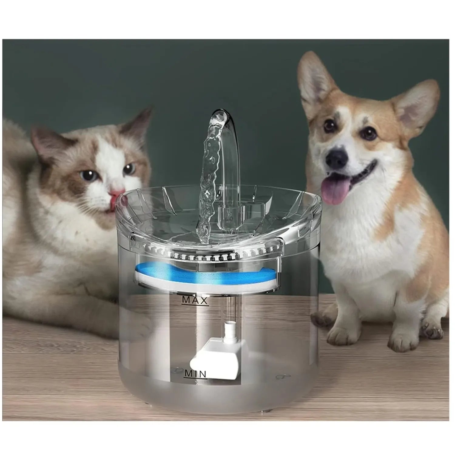 Fuente Para Mascotas.